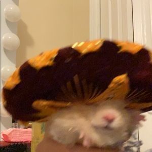 Meet your Posher, Jenny from the mfn blawk